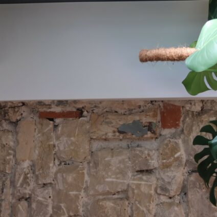 Architecture Décoration aménagement intérieur mur ADVITAM